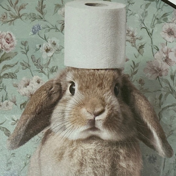 Design District Miami Art Studio Bunny w/ Toilet Paper Hat Framed Wall Art Gold - Picture 3 of 6